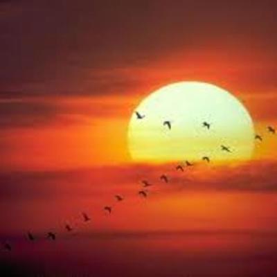 Timeline: 7 pasos para convertir tus sueños en realidad