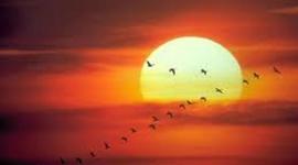 Timeline: 7 pasos para convertir tus sueños en realidad