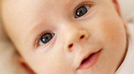 Timeline: 0-6 Months