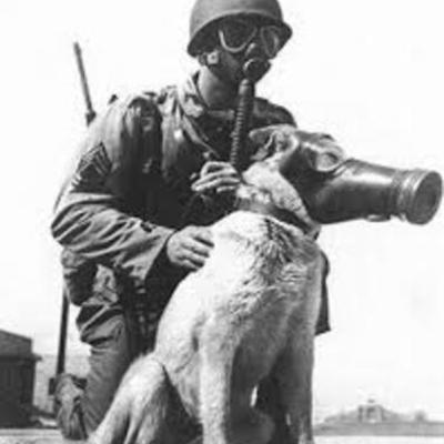 Timeline: World War II