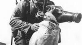 Timeline: World War II