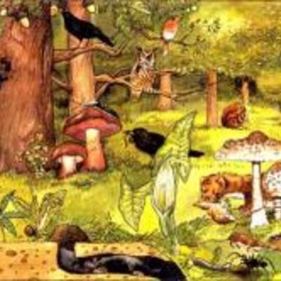 Timeline: HISTORIA DEL CONCEPTO ECOSISTEMA EN ECOLOGIA