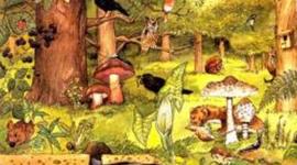 Timeline: HISTORIA DEL CONCEPTO ECOSISTEMA EN ECOLOGIA
