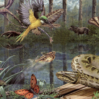 Timeline: Historia de los Ecosistemas