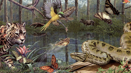 Timeline: Historia de los Ecosistemas