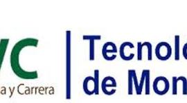 Timeline: Plan de vida y carrera