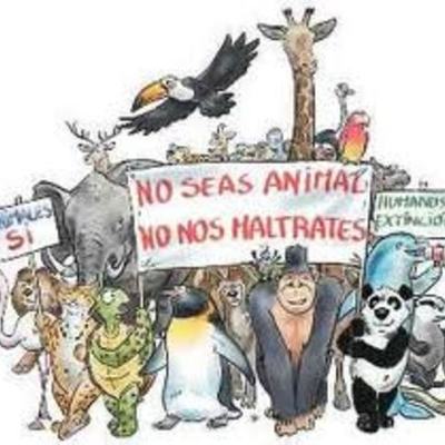 Timeline: ESPECIES EXTINTAS POR LA ACCIÓN DEL HOMBRE