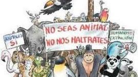 Timeline: ESPECIES EXTINTAS POR LA ACCIÓN DEL HOMBRE