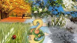 Timeline: Окружающий мир