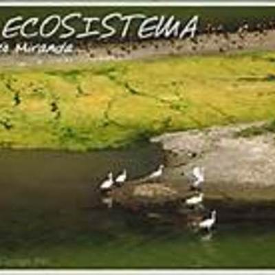 Timeline: HISTORIA DE LOS ECOSISTEMAS