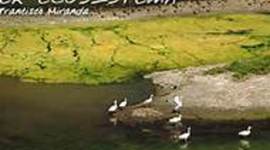 Timeline: HISTORIA DE LOS ECOSISTEMAS