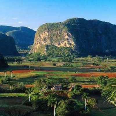 Timeline: EVOLUCION DE LOS ECOSISTEMAS