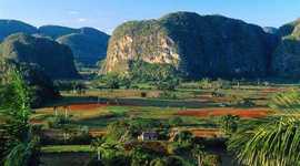 Timeline: EVOLUCION DE LOS ECOSISTEMAS