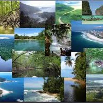 Timeline: HISTORIA DE LOS ECOSISTEMAS