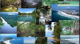 Timeline: HISTORIA DE LOS ECOSISTEMAS