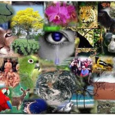 Timeline: HISTORIA DEL CONCEPTO ECOSISTEMA EN ECOLOGÍA