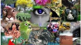 Timeline: HISTORIA DEL CONCEPTO ECOSISTEMA EN ECOLOGÍA