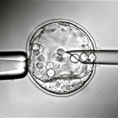 Timeline: History of Genetic Engineering
