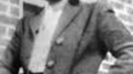 Timeline: HeLa Cells Over Time