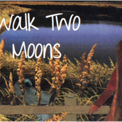Timeline: Gregory English Walk Two Moons Summantive Assessment Timeline