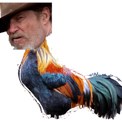 Timeline: Rooster Timeline