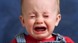 Timeline: From the Cradle to the Grave