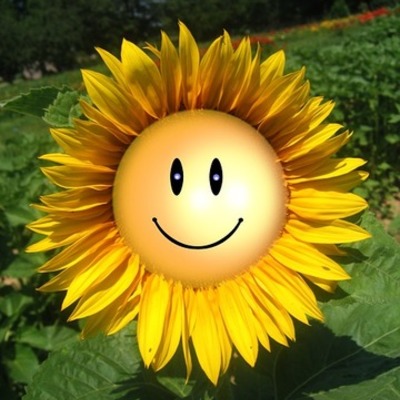 Timeline: My personal timeline of my life