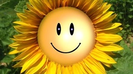 Timeline: My personal timeline of my life