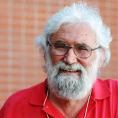 Timeline: ECOLOGIA AMBIENTAL