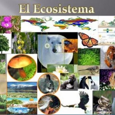 Timeline:  LOS ECOSISTEMAS Y SU EVOLUCION