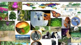 Timeline:  LOS ECOSISTEMAS Y SU EVOLUCION
