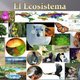 Collage ecosistema 1