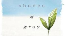Timeline: Between Shades of Gray