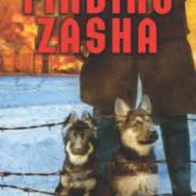 Timeline: Finding Zasha Timeline