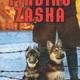 Finding zasha book