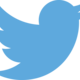 Twitter logo blue