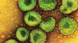 Timeline: SARS Pandemic