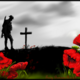 Flanders field