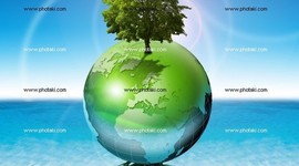 Timeline: HISTORIA DEL CONCEPTO ECOSISTEMA EN ECOLOGIA
