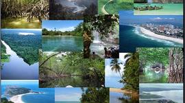 Timeline: HISTORIA DE LOS ECOSISTEMAS