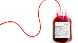 Timeline: Bloody History