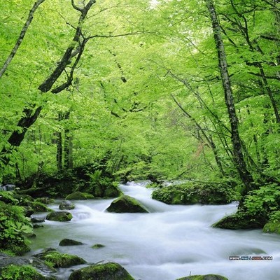 Timeline: global environmental issues