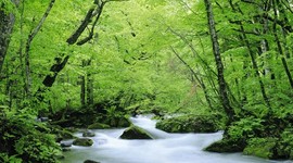 Timeline: global environmental issues