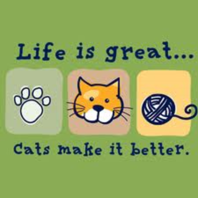 Timeline: The History of My Pets