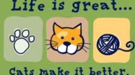 Timeline: The History of My Pets