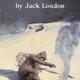 To build a fire and other stories london jack 9780553213355
