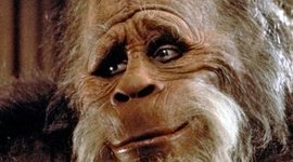 Timeline: Hitlers vej til magten - made by Creutsberg og Kari