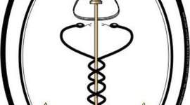 Timeline: Desenvolvimento da psicologia como ciência