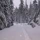 Snowy trail