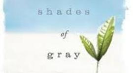 Timeline: Between the Shades of Gray